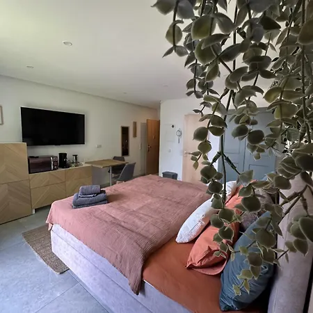 204 Dersert Rose